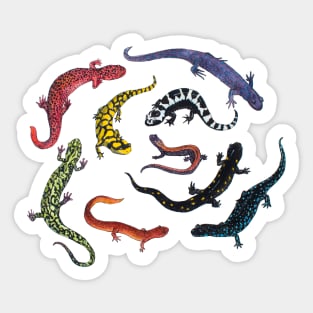 Salamanders Sticker